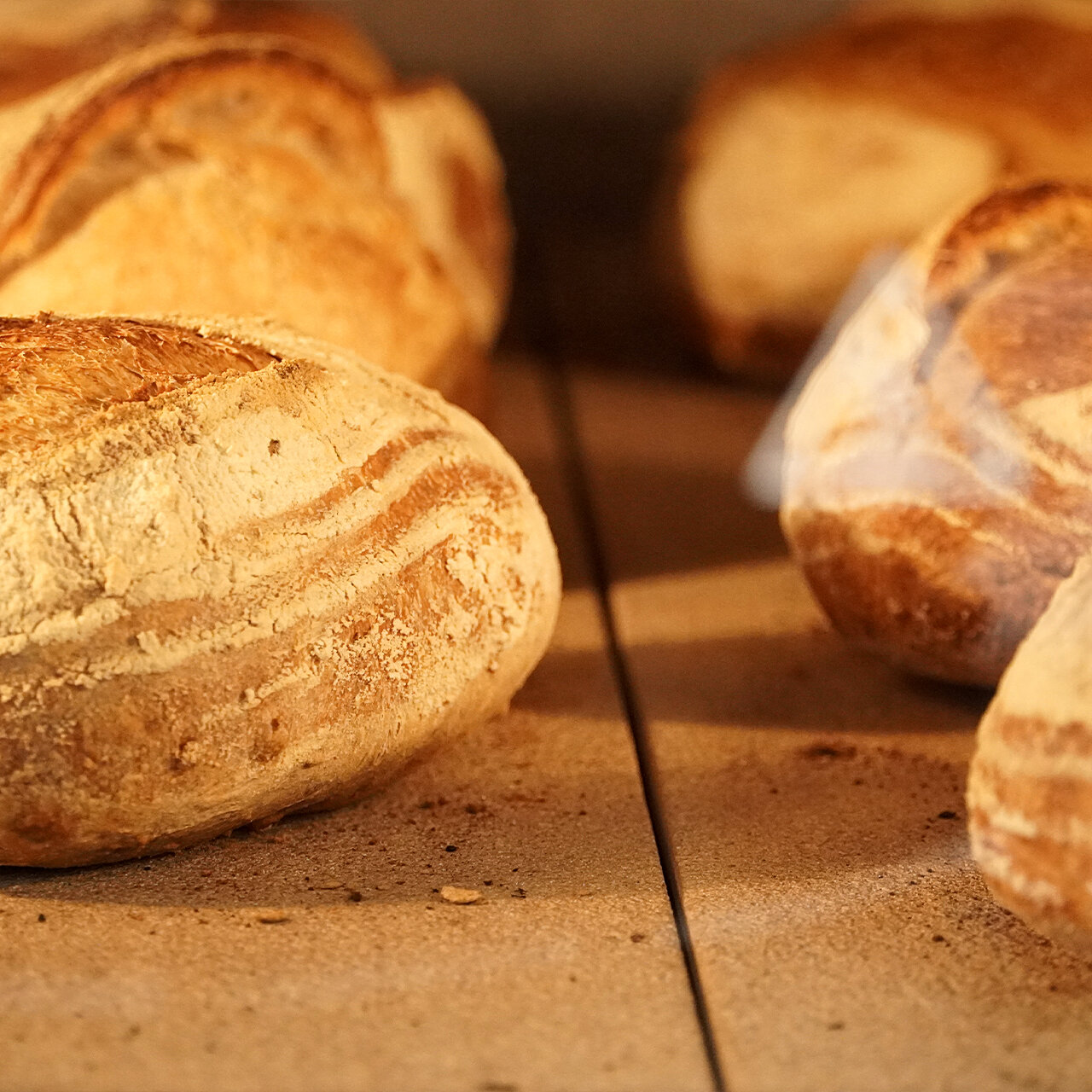 pane 600g alta idratazione serieS